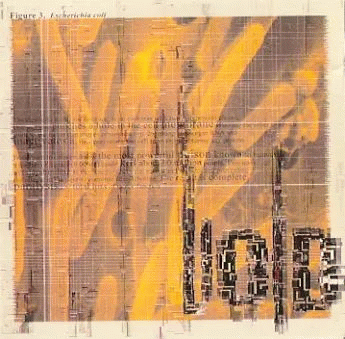 Void (UK) : Designer Disease